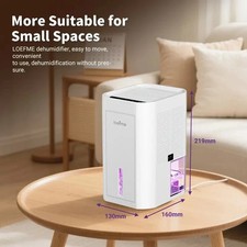 LOEFME 1000ML Dehumidifier